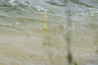 大肚漂中鱼后是什么漂相,主要有黑漂、顿口、移漂、送漂等