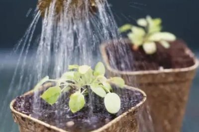 植物表面保护防冻专用剂有什么特点,方便使用、有效期长、功能多样