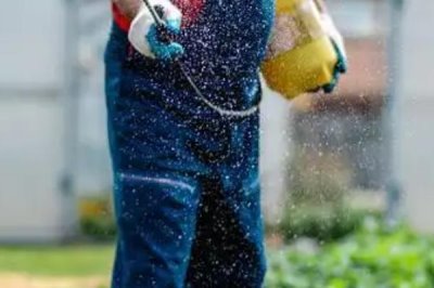 除草剂怎么施才不影响作物生长,需根据土壤的特性来喷施