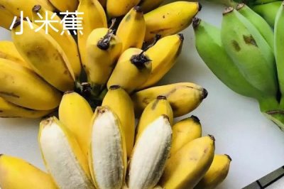 香蕉的产地,原产地是东南亚