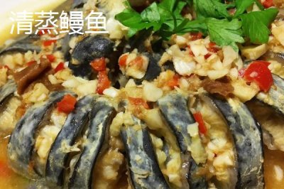 印尼鳗的特点,身体近似圆锥形