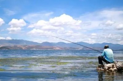 5号小矶钩可以钓多重的鱼,4-5斤的鱼种均可钓获