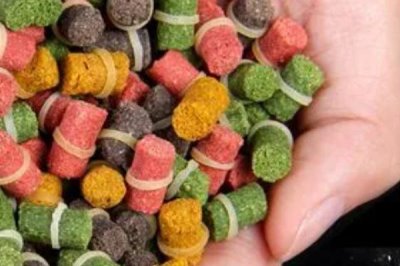 红虫颗粒饵料的挂钩方法,用鱼钩挂住皮筋即可