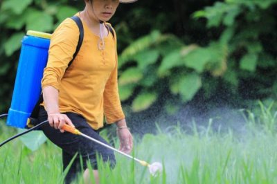 敌草胺可以对哪些作物使用,适用于花生、白菜、西瓜等作物