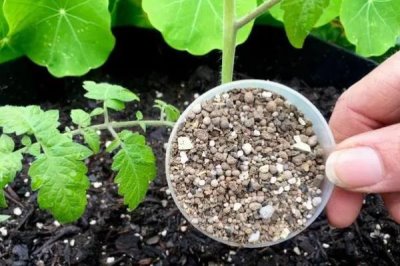 缓释肥用了后要施肥吗,缓释肥用了后还要施肥