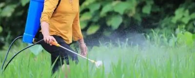 灭草松的防治对象,可灭杀苍耳、问荆、马齿苋等杂草