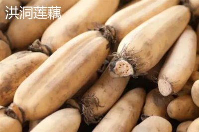 莲藕的产地有哪些,洪湖、新垦和襄陵的莲藕出名