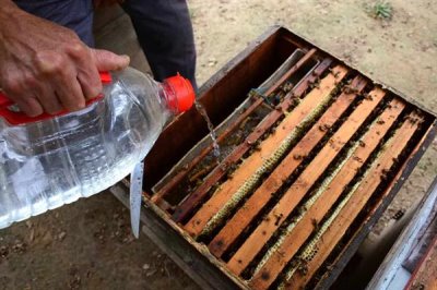 将两群蜂合并成双王群的方法,将蜂群转移到蜂箱两侧再喷洒蜂蜜水可混淆群味