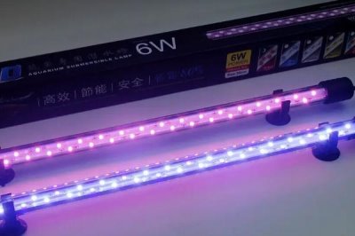 如何确定鱼缸防虹吸孔位置,和主缸水位有关