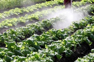 除草剂的种类,分为灭生性和选择性除草剂