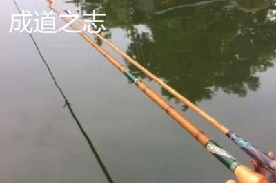 并继竿钓鲫鱼搭配哪种鱼钩,袖钩、海夕钩、伊豆钩都是适宜选择