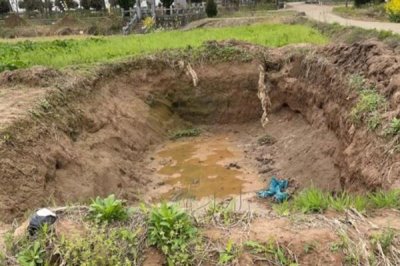 怎么制作肥料,先需要准备合适的原料