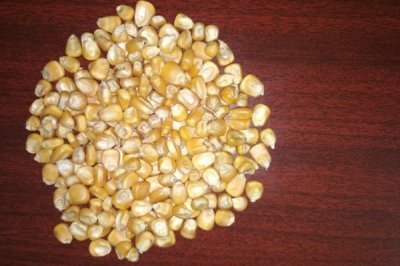 蛋鸡饲料添加剂的原料种类，常见玉米、麦类、豆饼等类型