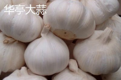 甘肃省民乐县的特产,产出的苹果梨具有中国一代梨王的美誉