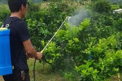 生物肥与水溶肥有什么区别,定义、成分、用法均不同