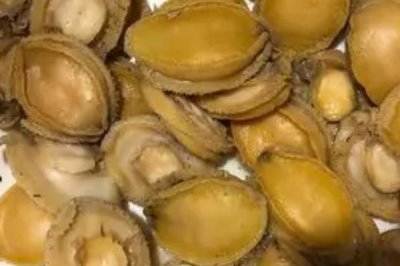 鲍鱼洗净后如何保鲜,可以放入冰箱中进行冷藏或冷冻