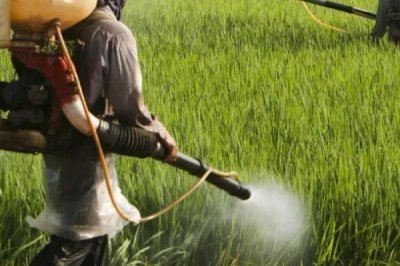 有哪些水稻田除草剂，包括吡嘧磺隆、苄嘧磺隆、丁草胺等药物