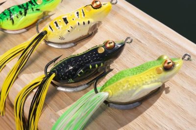 春季钓鲤鱼选什么位置,水草区、铧尖、凹湾都是最佳钓点