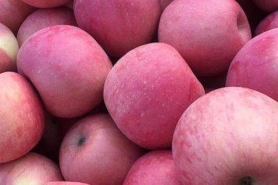 哪里的红富士苹果最出名,烟台红富士苹果最出名