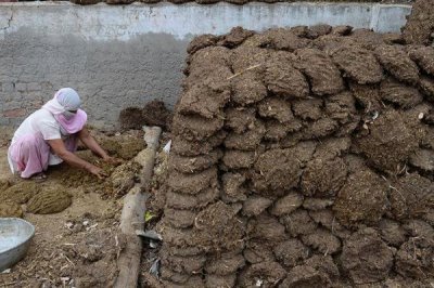 冬季堆肥要注意什么,在肥堆顶部盖土封泥能够保温