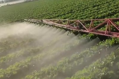 白菜长白斑打什么农药,嘧菌酯、苯醚甲环唑、嗯唑菌酮·霜脲氰等