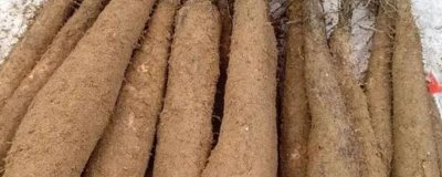 广东阳山县的特产，洞冠梨是当地特有的珍果