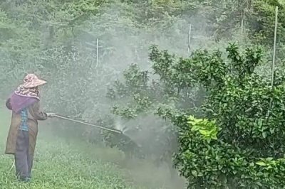 吡虫啉有什么作用,可防治飞虱、叶蝉、蚜虫等害虫