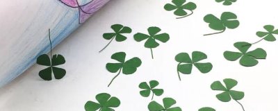 四叶草标本制作方法,采集完整的且有一定生长期的的四叶草