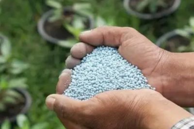 硅肥一亩地的用量,根据不同地块土壤来决定