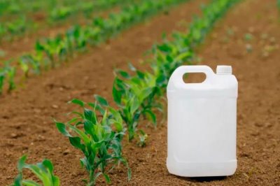 怎么解决除草剂药害,可将芸苔素、鲜牛奶和葡萄糖兑水喷雾