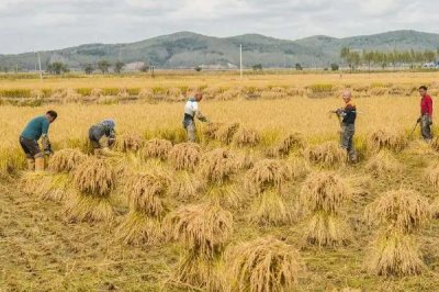一亩地如何算，1亩等于60平方丈