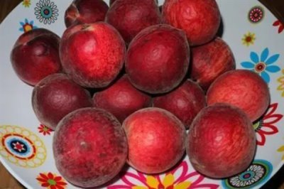 血桃的成熟时间，一般在5-6月份成熟上市