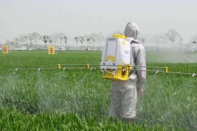 代森铵主治哪些病害,可有效防治水稻稻瘟病、玉米斑病等