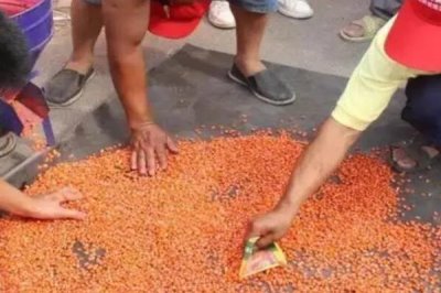 玉米丝黑穗病介绍,雄性花器变形是典型症状