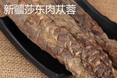 肉苁蓉的品种,包括草苁蓉、管花肉苁蓉、盐生肉苁蓉等种类