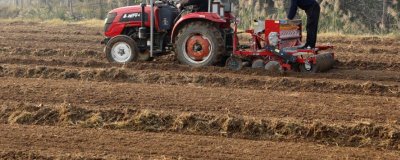 小麦播种后可以马上浇水吗，播种后不可马上浇水