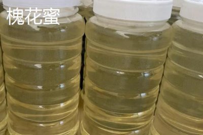 桉树蜜和蜂蜜的区别,桉树蜜是蜂蜜的一种