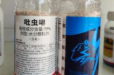 吡虫啉70兑水的使用方法,2-3g兑水45-60公斤