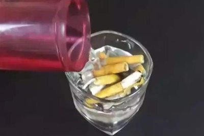 烟头水浇花能不能杀虫，烟头水浇花能杀虫