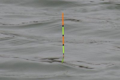 传统钓法怎么调漂,使用七星漂可采用重铅找底、上移漂豆等方式