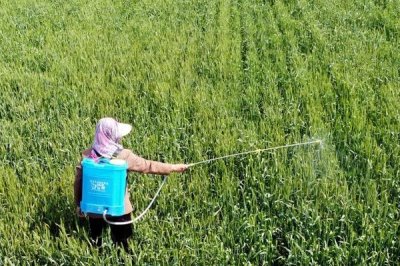 为什么禁用二氯丙烯,其对人体有着非常大的危害