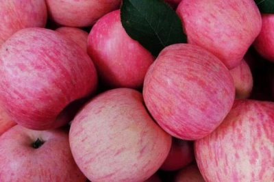 哪里的红富士苹果最出名,烟台红富士苹果最出名