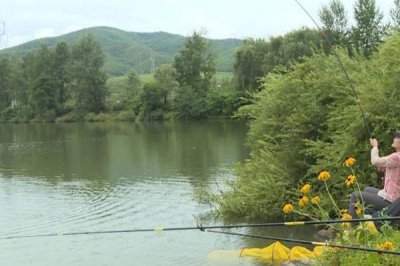 钓翘嘴鱼的技巧,主要以小鱼、小虾等活物为食