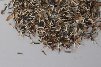 万寿菊怎么种植,苗龄达到40天才能移栽