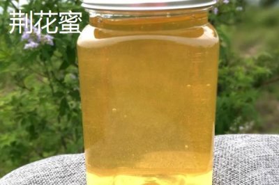 洋槐蜜30块一斤是不是正品,正宗的洋槐蜜一般不便宜