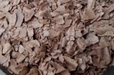 初夏怎么钓鱼,具有水草、深度为1-2米的水域可作为首选钓点