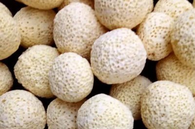 养鱼如何按先后顺序使用老三样，换水、升温后再下盐