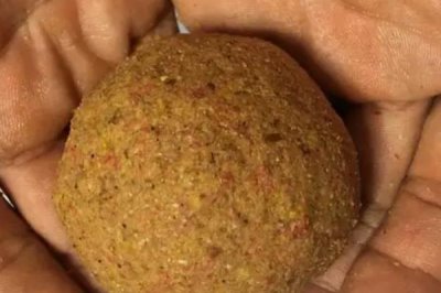 速攻2号腥味版可以单独使用吗,有很多麸类和雪花粉故不建议