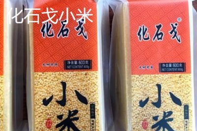 辽宁省锦州市有哪些特色水果,包括北镇葡萄、银白杏、锦州苹果等种类