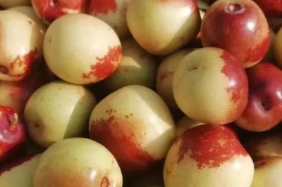 12月份上市的时令水果有哪些,这六种很常见